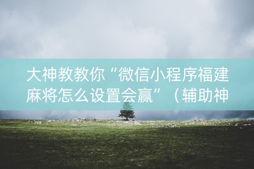 大神教教你“微信小程序福建麻将怎么设置会赢”（辅助神器免费)