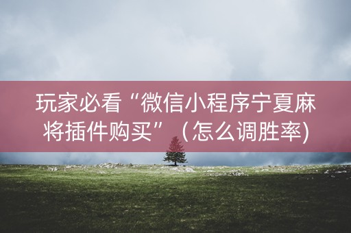 玩家必看“微信小程序宁夏麻将插件购买”（怎么调胜率)
