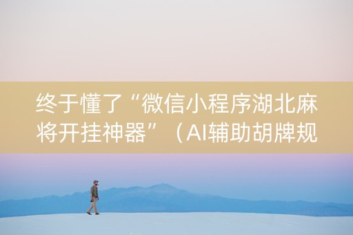 终于懂了“微信小程序湖北麻将开挂神器”（AI辅助胡牌规则)