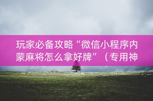 玩家必备攻略“微信小程序内蒙麻将怎么拿好牌”（专用神器下载)