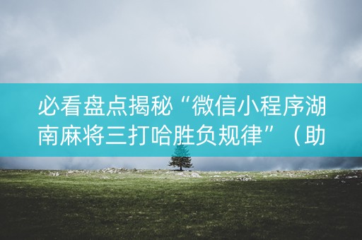 必看盘点揭秘“微信小程序湖南麻将三打哈胜负规律”（助赢神器)