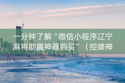 一分钟了解“微信小程序辽宁麻将助赢神器购买”（控牌神器)