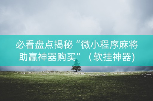 必看盘点揭秘“微小程序麻将助赢神器购买”（软挂神器)