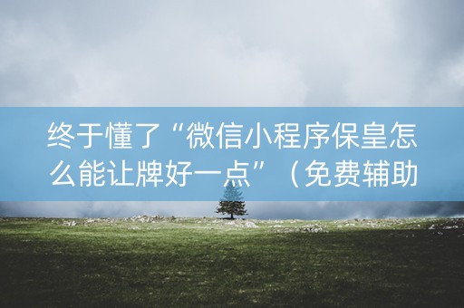 终于懂了“微信小程序保皇怎么能让牌好一点”（免费辅助)