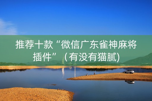 推荐十款“微信广东雀神麻将插件”（有没有猫腻)