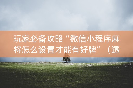 玩家必备攻略“微信小程序麻将怎么设置才能有好牌”（透明挂辅助器)