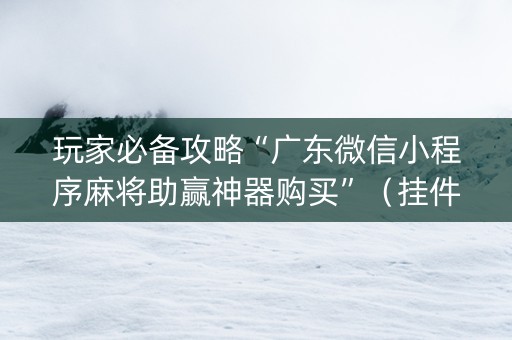 玩家必备攻略“广东微信小程序麻将助赢神器购买”（挂件神器)