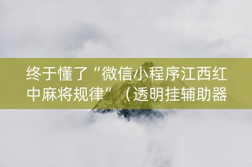 终于懂了“微信小程序江西红中麻将规律”（透明挂辅助器)
