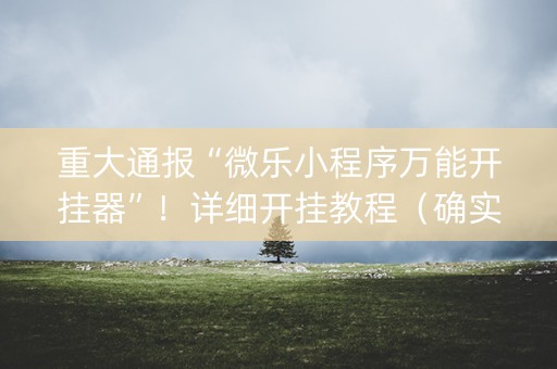 重大通报“微乐小程序万能开挂器”！详细开挂教程（确实真的有挂)-知乎
