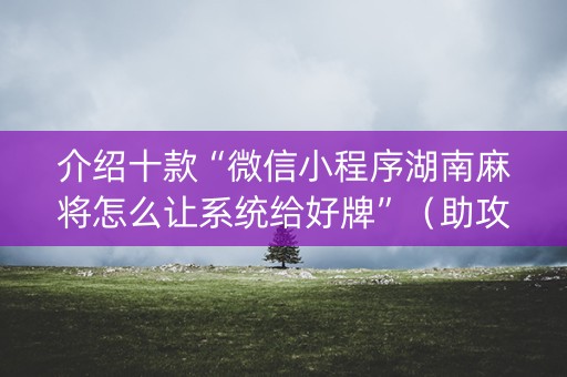 介绍十款“微信小程序湖南麻将怎么让系统给好牌”（助攻神器)