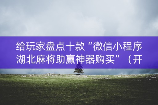 给玩家盘点十款“微信小程序湖北麻将助赢神器购买”（开挂辅助脚本)