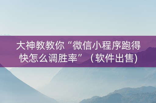 大神教教你“微信小程序跑得快怎么调胜率”（软件出售)