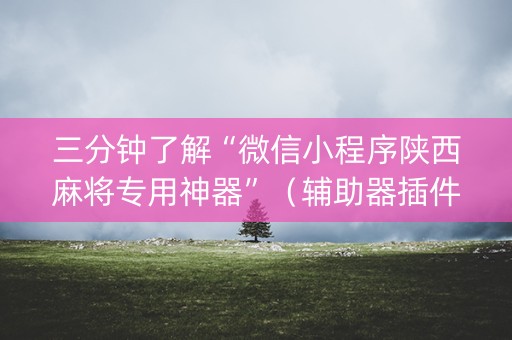 三分钟了解“微信小程序陕西麻将专用神器”（辅助器插件)