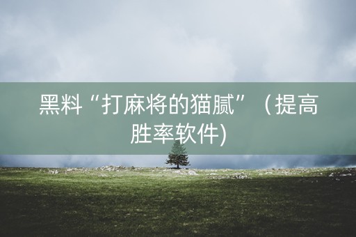 黑料“打麻将的猫腻”（提高胜率软件)