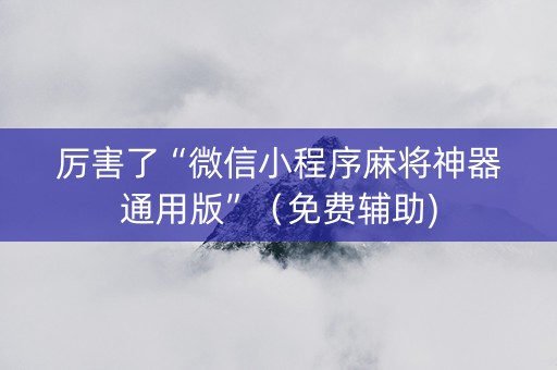 厉害了“微信小程序麻将神器通用版”（免费辅助)