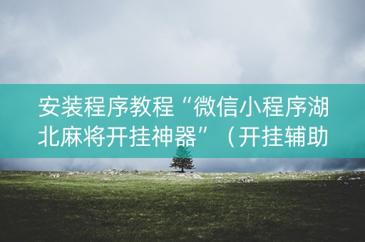 安装程序教程“微信小程序湖北麻将开挂神器”（开挂辅助器插件)