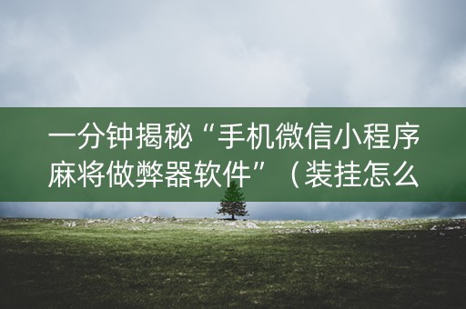 一分钟揭秘“手机微信小程序麻将做弊器软件”（装挂怎么安装)