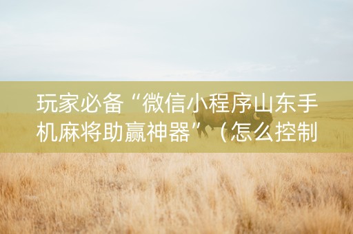 玩家必备“微信小程序山东手机麻将助赢神器”（怎么控制输赢)