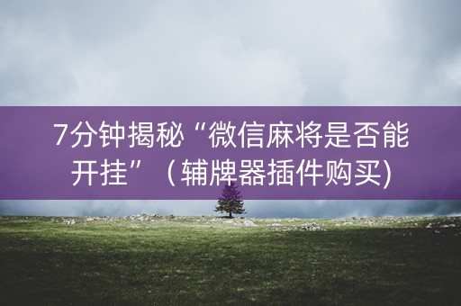 7分钟揭秘“微信麻将是否能开挂”（辅牌器插件购买)