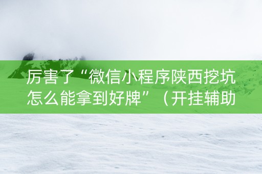 厉害了“微信小程序陕西挖坑怎么能拿到好牌”（开挂辅助器脚本)