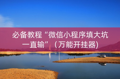 必备教程“微信小程序填大坑一直输”（万能开挂器)