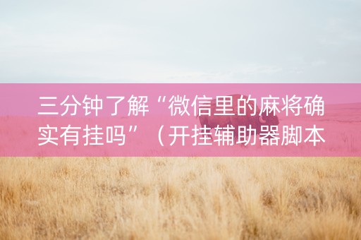 三分钟了解“微信里的麻将确实有挂吗”（开挂辅助器脚本)