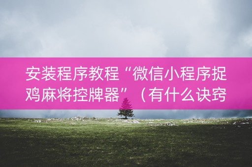 安装程序教程“微信小程序捉鸡麻将控牌器”（有什么诀窍)