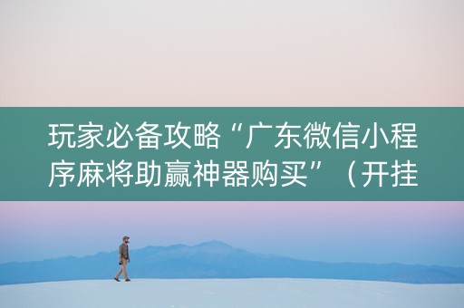 玩家必备攻略“广东微信小程序麻将助赢神器购买”（开挂神器下载)