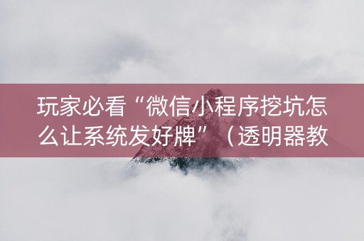 玩家必看“微信小程序挖坑怎么让系统发好牌”（透明器教程)