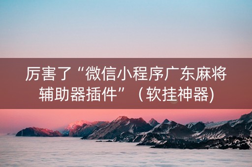 厉害了“微信小程序广东麻将辅助器插件”（软挂神器)