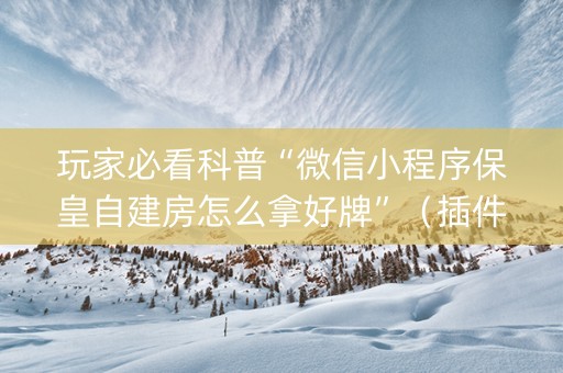 玩家必看科普“微信小程序保皇自建房怎么拿好牌”（插件可信吗)