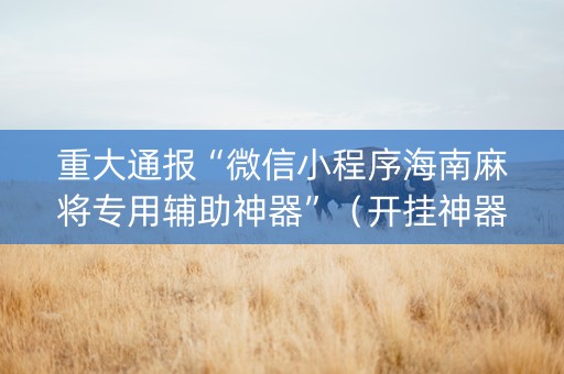 重大通报“微信小程序海南麻将专用辅助神器”（开挂神器下载)