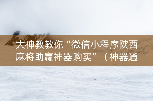 大神教教你“微信小程序陕西麻将助赢神器购买”（神器通用版)