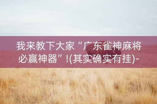 我来教下大家“广东雀神麻将必赢神器”!(其实确实有挂)-知乎