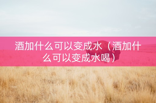 酒加什么可以变成水（酒加什么可以变成水喝）