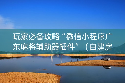 玩家必备攻略“微信小程序广东麻将辅助器插件”（自建房怎么赢)