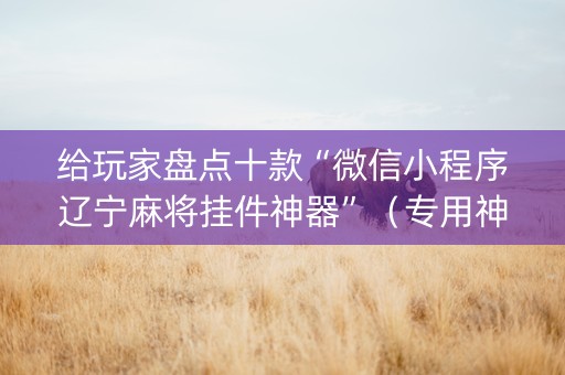 给玩家盘点十款“微信小程序辽宁麻将挂件神器”（专用神器下载)