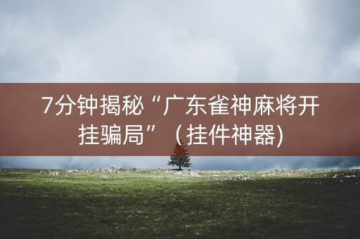 7分钟揭秘“广东雀神麻将开挂骗局”（挂件神器)