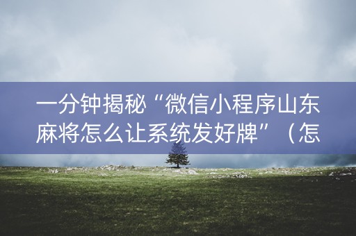 一分钟揭秘“微信小程序山东麻将怎么让系统发好牌”（怎么设置能有好牌)