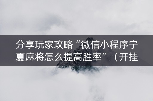 分享玩家攻略“微信小程序宁夏麻将怎么提高胜率”（开挂辅助器插件)