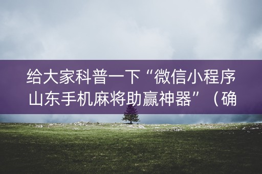 给大家科普一下“微信小程序山东手机麻将助赢神器”（确实有插件吗)
