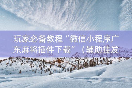 玩家必备教程“微信小程序广东麻将插件下载”（辅助挂发牌规律)