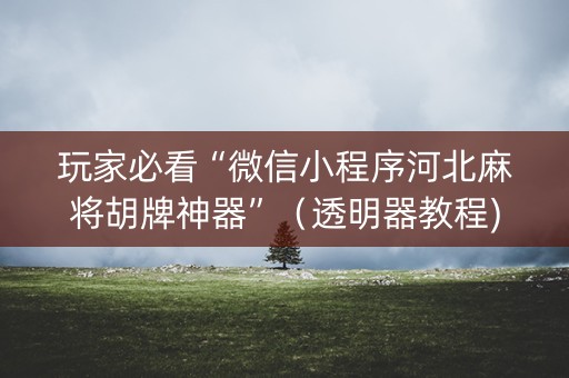 玩家必看“微信小程序河北麻将胡牌神器”（透明器教程)