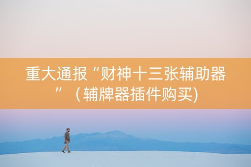 重大通报“财神十三张辅助器”（辅牌器插件购买)