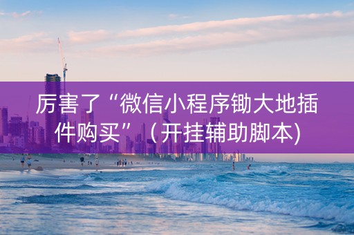 厉害了“微信小程序锄大地插件购买”（开挂辅助脚本)