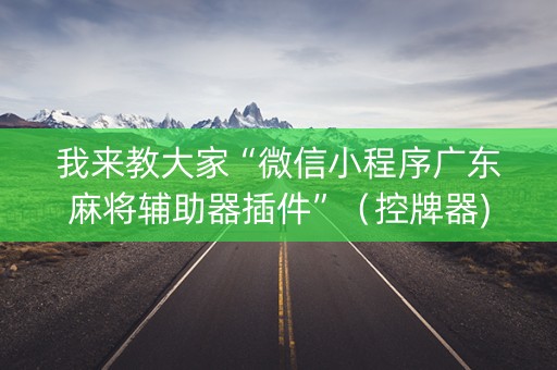 我来教大家“微信小程序广东麻将辅助器插件”（控牌器)