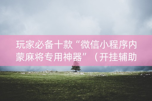 玩家必备十款“微信小程序内蒙麻将专用神器”（开挂辅助器脚本)