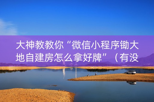 大神教教你“微信小程序锄大地自建房怎么拿好牌”（有没有猫腻)