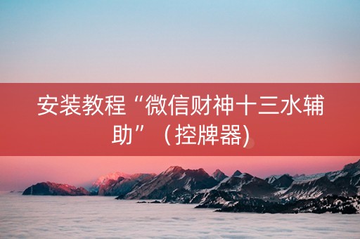 安装教程“微信财神十三水辅助”（控牌器)