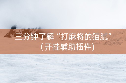 三分钟了解“打麻将的猫腻”（开挂辅助插件)